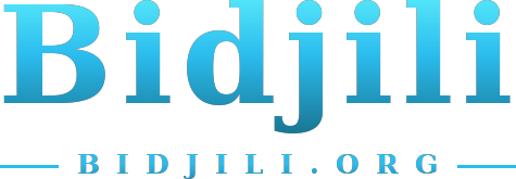 Bidjili logo